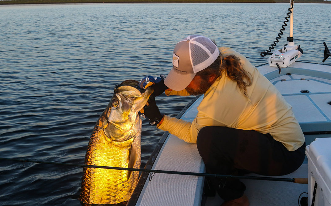 Fort Myers tarpon Fishing Report 08-30-2021