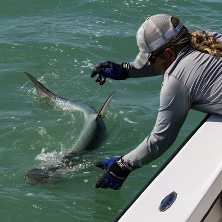 Fort Myers tarpon fishing report April 15, 2023